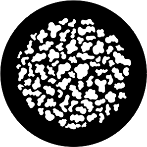 05-190320000059FINE 1700LC ISPOT 20241025